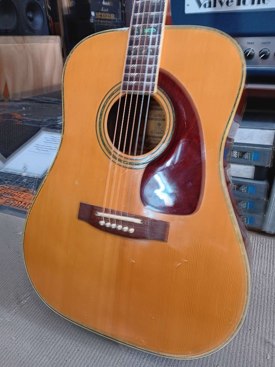 タケハルギター ＷＴ-250 - アコースティックギター