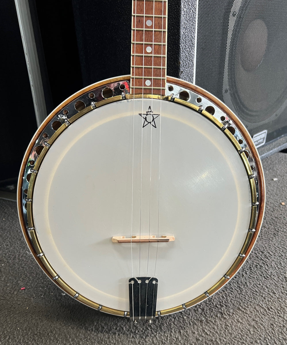 White store swallow banjo