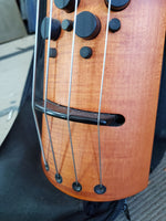 NS - CR Electric Upright Bass