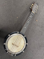 Cuckoo - Banjo Mandolin