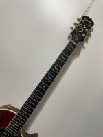 Epiphone - Les Paul Custom Prophecy EX