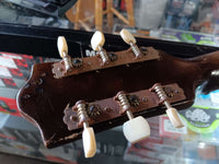 Ibanez Salvador - Model 1080