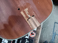 Unbranded - Archtop body