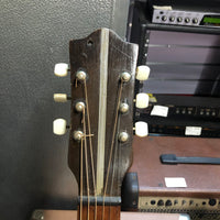 Ibanez Salvador - Model 1080