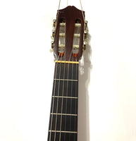 Fernandes - GC-20