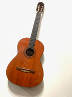 Fernandes - GC-20