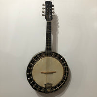 The Artist - Banjo Mandolin