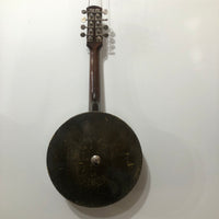 The Artist - Banjo Mandolin