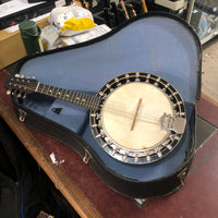 The Artist - Banjo Mandolin