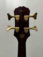 Epiphone - Allen Woody Rumblekat