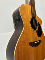 Breedlove - c250/SBe