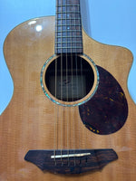 Breedlove - c250/SBe