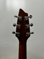 Breedlove - c250/SBe