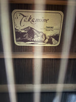 Takamine - TAN16C