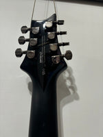 PRS SE - Mark Holcomb