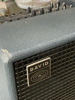 Schertler - David Acoustic Amp