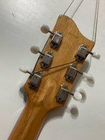 Maton - MS500