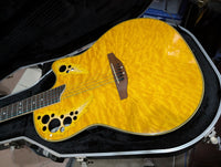 Ovation - CS 288